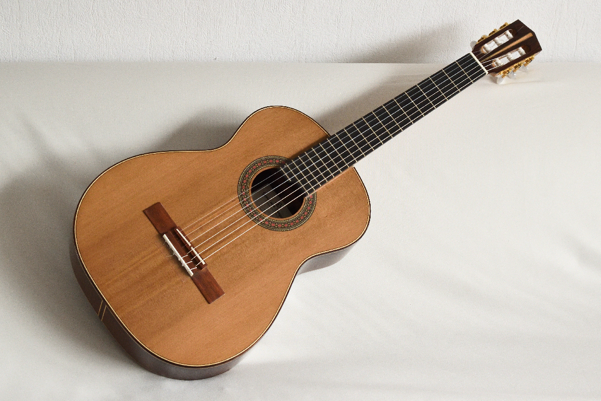 Special constructed left-hand concert guitar